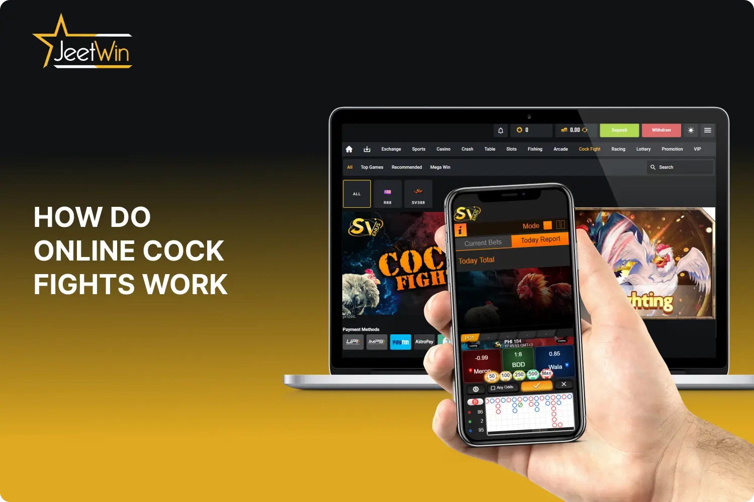 Online cock fights with a simple and straightforward betting system at Jeetwin is appreciated by users in India