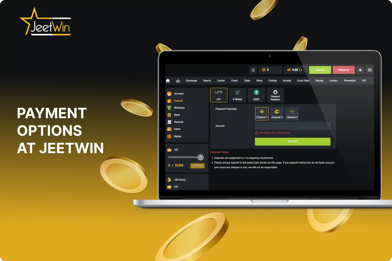Various payment options are available to Jeetwin users for both deposits and withdrawals